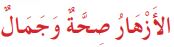 الأزهار صحة وجمال